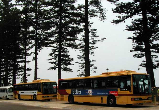 Westbus Mercedes Beach Bus